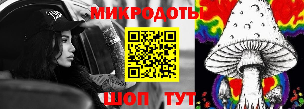 Галлюциногенные грибы мицелий Богданович