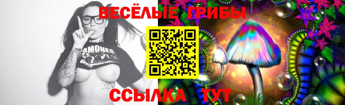 Галлюциногенные грибы Cubensis  Вход с VPN  Богданович 