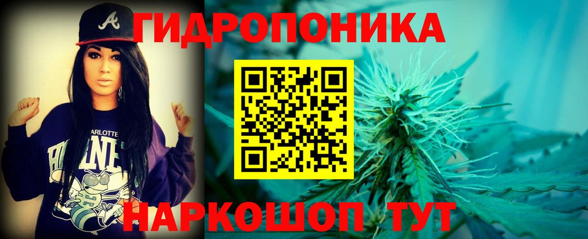 Конопля Ganja  Бошки Шишки VHQ  Богданович  Вход с VPN 